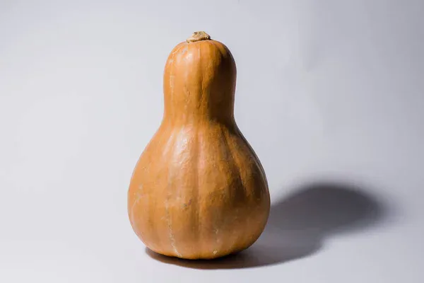 AGOTADO, SE PUEDE RESERVAR Calabaza